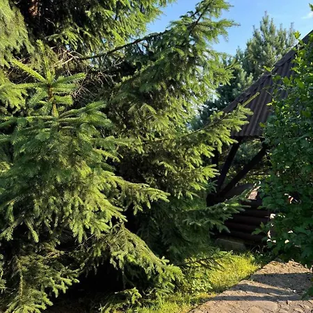 медвежий Rakhiv