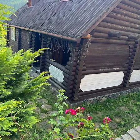 Apartment медвежий *