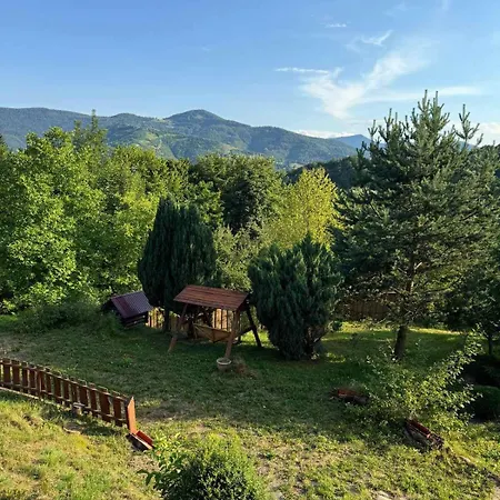 Apartment медвежий *