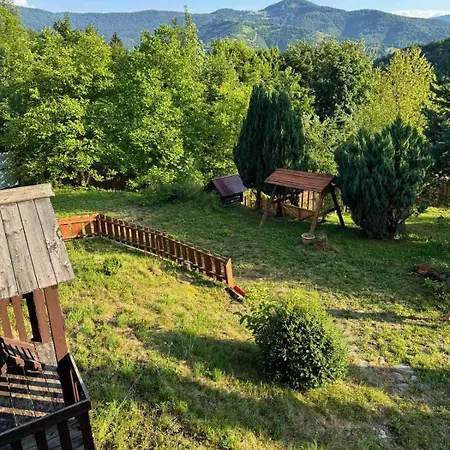 Apartmán медвежий