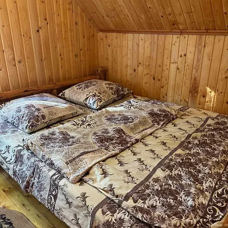 медвежий Apartment