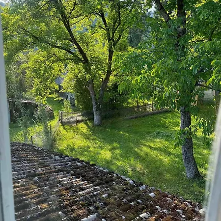 медвежий Apartment