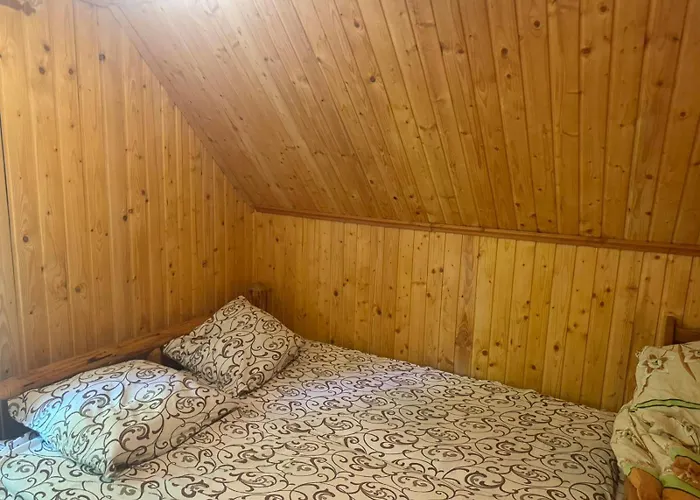 медвежий Daire *
