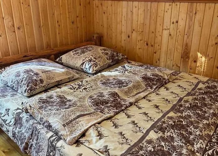 медвежий Daire