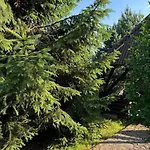 медвежий Rakhiv