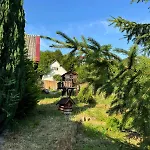 медвежий Rakhiv