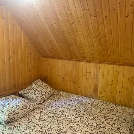 медвежий شقة *